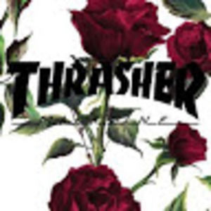 Meet your Posher, Francisco